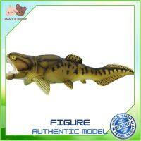 Safari Ltd. : SFR283329 โมเดลสัตว์ Dunkleosteus ถ้วยหัดดื่ม แก้วหัดดื่ม ช้อมส้อมเด็ก ชุดจานเด็ก จานชามเด็ก ชุดถ้วยจานเด็ก ชุดจานชามเด็ก Mamy and Buddy