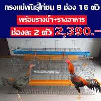 กรงตับ สำหรับแม่พันธู์ไก่ชน สำหรับเลี้ยง 16 ตัว 8ช่อง พร้อมอุปกรณ์รางน้ำ+รางอาหาร