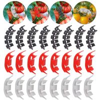 30PCS Plant Bender Plastic Tomato Branches Bending Clips Garden Greenhouse Support for Low Stress Training Trainer for Climbing