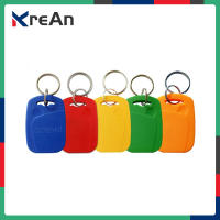 100ชิ้นป้าย RFID ที่ห้อยกุญแจ Keyfobs พวงกุญแจแหวนโทเค็น125กิโลเฮิรตซ์ชิปบัตรประจำตัวพร็อกซิมิตี้4100/4102สำหรับการควบคุมการเข้าออกงาน