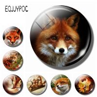 【YF】♗♗✳  Fridge Magnets Animals 30MM Glass Magnetic Stickers Refrigerator Decorations