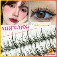 Cozy ขนตาปลอม ขนตาปลอมแต่งหน้ามืออาชีพ 120 ช่อ ช่อคนตาเทรนสาวเวียดนาม  Little devil false eyelashes