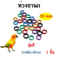 1ชิ้น 10 mm ห่วงขานก ห่วงขานกแก้ว (นกแก้วหัวเหยี่ยว, นกแก้วจาดีน, คอนัวร์หน้ากากแดง, อเมซอนหน้าขาว) วัสดุอลูมิเนียม น้ำนักเบา สุ่มสี