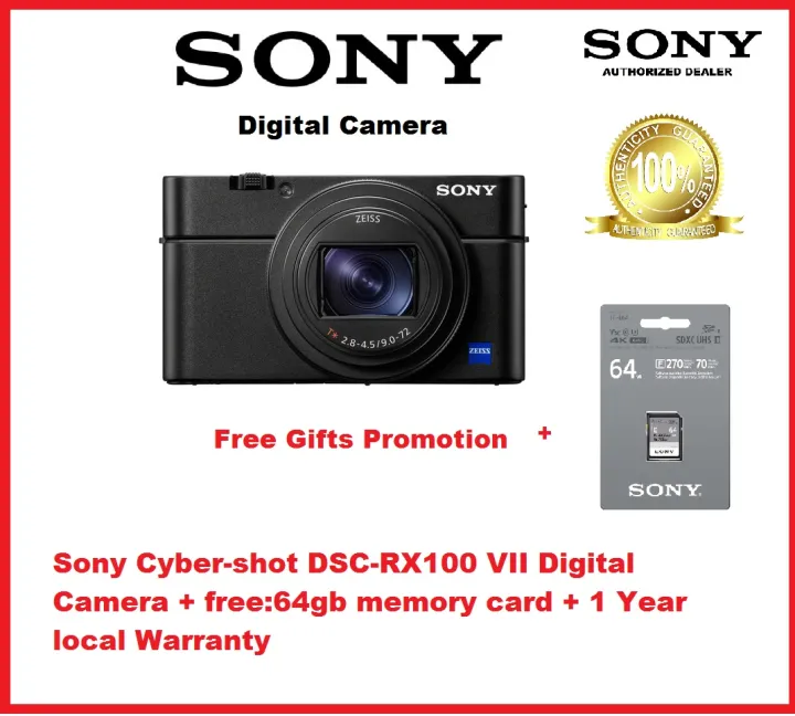 sony sx100