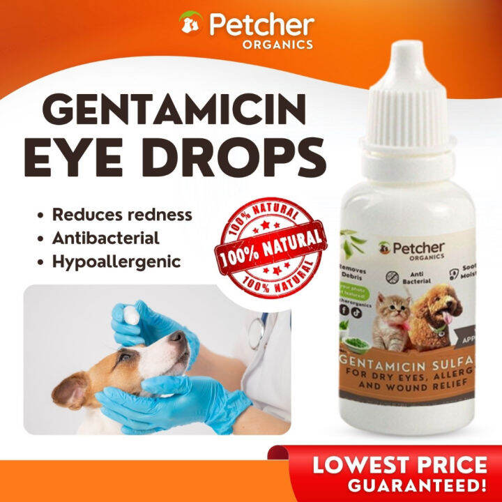 Petcher Organics Gentamicin Sulfate for Dogs Eyes Antibacterial Eye
