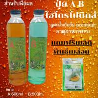 ปุ๋ยไฮโดรโปนิกส์ ปุ๋ยAB ขนาด500ml ปุ๋ยน้ำ ปุ๋ยเอบี ปุ๋ยสำหรับพืชผล ปุ๋ย Hydroponics แถมฟรี เมล่อน1ซอง