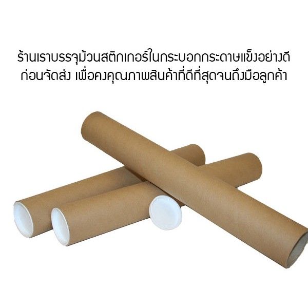 โปรโมชั่น-สติกเกอร์แต่งห้อง-diy-ลายสวนมะพร้าว-ลอกออกแล้วติดซ้ำได้-ราคาถูก-อุปกรณ์แต่งสวน-อุปกรณ์แต่งสวนถาด