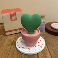 LIVELY BREEZE - HEART CACTUS CERAMIC AROMA DIFFUSER