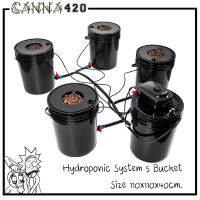 ชุดปลูกครบเซ็ท Hydroponic Grow System Deep Water Culture (DWC) Complete Kit (4 Bucket + Reservoir Kit) full set