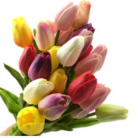 【cw】10PCS Tulip Artificial Flower Real Touch Artificial Bouquet Fake Flower for Wedding Decoration Flowers Home Garen Decor