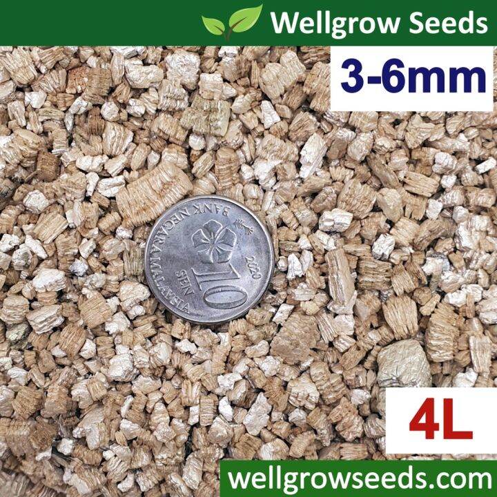 ♂4L Vermiculite Silver 36mm (Coarse Grade) 蛭石 Succulent Cactus Stone