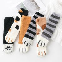 Qisin 1Pair Coral Fleece Socks Female Kawaii Tube socks Autumn Winter Cat Claws Cute Thick Warm Sleeping Floor Socks Dropshiping