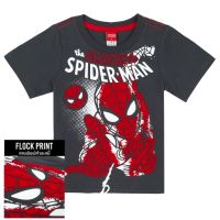 Marvel Boy Spider-Man Flock Print T-shirt - เสื้อยืดเด็กพิมพ์กำมะหยี่ลายสไปเดอร์แมน  สินค้าลิขสิทธ์แท้100% characters studio