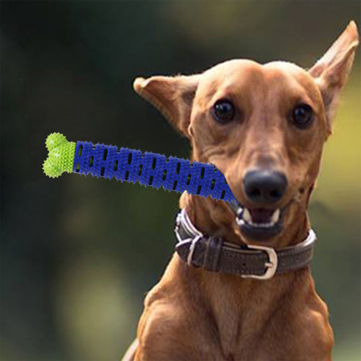 แปรงของเล่นฝึกเคี้ยว-sikat-gigi-anjing-สำหรับลูกสุนัขให้สุนัขกัดแปรงสำหรับสุนัขและสำหรับลูกสุนัข