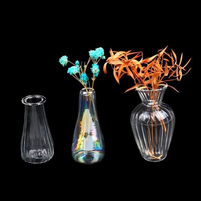☒۞ 1:12 Dollhouse Miniature Glass Vase Transparent Storage Jar Flowerpot Home Garden Decor Handcrafted Accessories