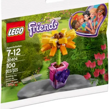 LEGO Friends Friendship Flowers 30634 Polybag : : Toys