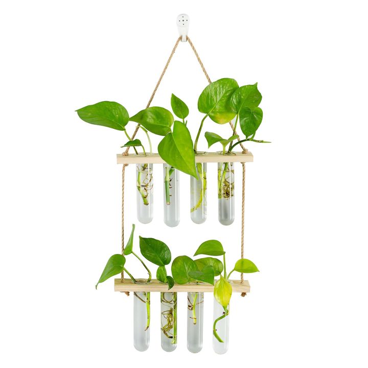cw-hanging-propagation-wall-indoor-glass-test-tube-vases-flowers-shelf-room