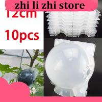 zhilizhi Store 12cm 10pcs Fruit Plant Tree Rooting Ball Root Box Plastic Case Transparent Flower Grafting Rooter Growing High-pressure Breeding