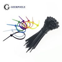 1000 pcs/lot 8 Color 3*100mm bag width 2.5MM Nylon Cable Ties Self-Locking Strong Cable International Standards Plastic Zip Tie Cable Management