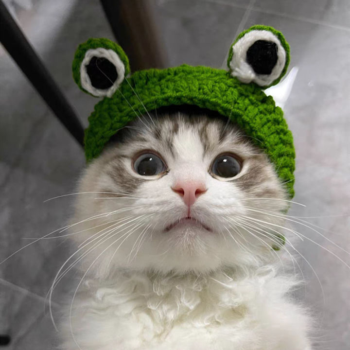 หมวกไหมพรมแมว-หมวกแมว-หมวกสุนัข-ลายกบ-สีเขียว-แฟชั่นสัตว์เลี้ยง