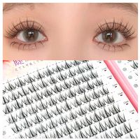 ◊ 32 Rows Eyeslashes Extension Personal Eye Lash Professional Makeup Individual Cluster Grafting Fake Wholesale False Eyelashes