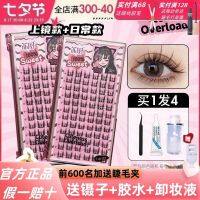 ? ? Lishu Pure Desire Cat Ears False Eyelashes Natural Simulation Fairy Hair Novice Suyan Womens Single Cluster Beginner Flagship Store