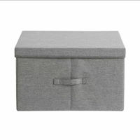 Clothes Storage Box Organizer Fabric Foldable Storage Box With Lid Underwear Socks Organizer Toys Sundries Closet Organizers