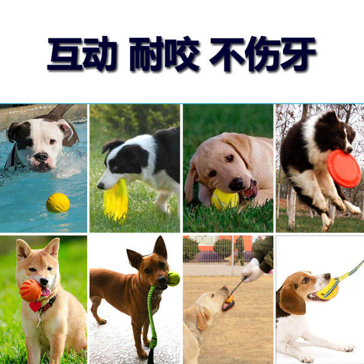 Animal husbandry toy Labrador toy dog toy big dog biteresistant