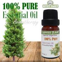 [10 mL.] 100% Pure Essential Oil น้ำมันหอมระเหยสนไซเปรส(ใบ) Cypress Leaf บริสุทธิ์ 100%ไม่ผสม (ไม่ใช่น้ำหอมหรือกลิ่นสังเคราะห์)