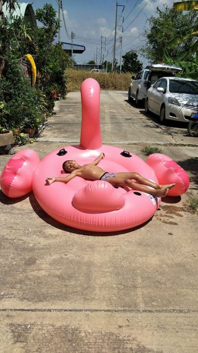 morestech-แพยางเป่าลม-นกฟลามิงโก้สีชมพู-giant-flamingo-inflatable