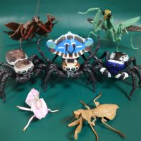 Cosetteme Genuine Gashapon Toys Simulation Insect Biographical Book Peacock Spider Poisonous Jumping Action Figure