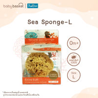 ฟองน้ำอาบน้ำแบบธรรมชาติสำหรับเด็ก Punapena Sea Sponge Honeycomb Honeycomb - L จาก Punapena