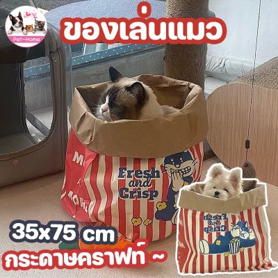 【Familiars】COD ของเล่นแมว ถุงแมวมุด Cat Tunnel ถุงกระดาษคราฟท์ ถุงกระดาษป๊อปคอร์น ของเล่นสำหรับสัตว์เลี้ยง