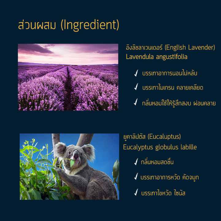 สเปรย์ฉีดหมอน-nashi-100-ml-pillow-mist-นอนหลับง่าย-ผ่อนคลาย-บรรยากาศสปาชั้นนำ