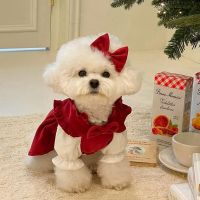 Fashion Autumn Winter Pet Dog Clothes Red Bow Princess Dress Cats Dog Warm Jacket Puppy Teddy Clothing Pet Supplies Accessories