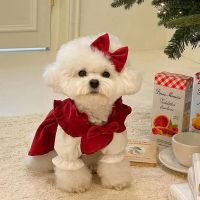 Fashion Autumn Winter Pet Dog Clothes Red Bow Princess Dress Cats Dog Warm Jacket Puppy Teddy Clothing Pet Supplies Accessories Clothing Shoes Accesso