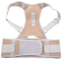 Orthopedic Back Support Magnetic Posture Corrector