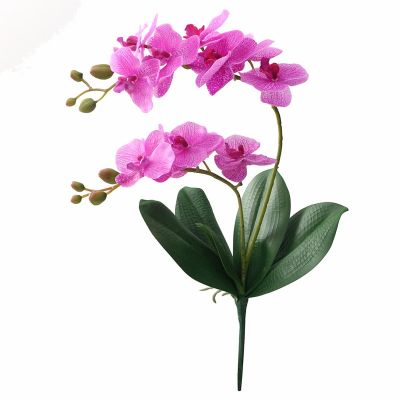 [AYIQ Flower Shop] JAROWN ดอกไม้ประดิษฐ์สัมผัสจริงน้ำยาง2สาขากล้วยไม้ดอกไม้ที่มีใบตกแต่งงานแต่งงานฟลอเรส