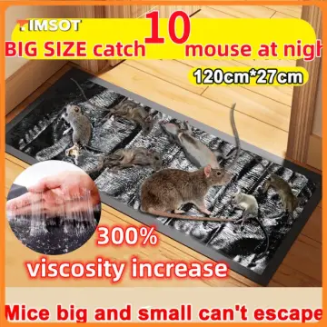 1-100x Mouse Traps Rat Mice Mouse Trap Snare Catcher Board Pad