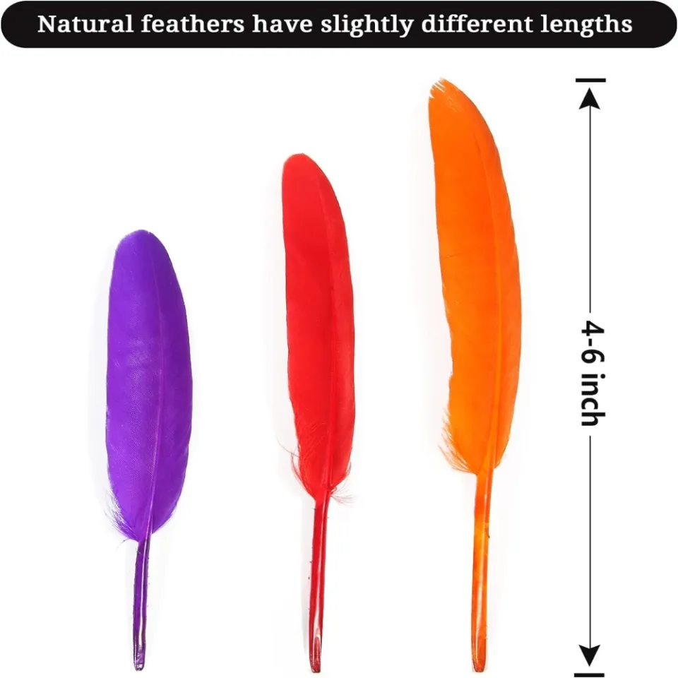 Cheap 200Pcs 4-6 Inch Feathers for Crafting Mixed-Colors Feathers for Crafts  Feathes for Wedding