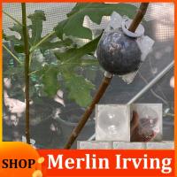 Merlin Irving Shop 5pcs 5cm Plant Tree Rooting Ball Root Box Plastic Case Transparent Flower Grafting Rooter Growing High-pressure Breeding