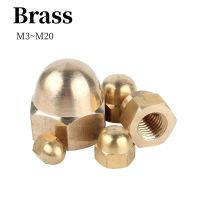 M3 M4 M5 M6 M8 M10 M12 M14 M16 M18 M20 Brass Acorn Cap Dome Nuts Brass Cap Type Copper Nut Cover Semicircle Dome Nuts DIN1587 Nails Screws Fasteners