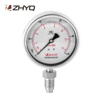 0-0.6MPa To 0-60MPa M20*1.5 Bourdon Tube Homogenizer Sanitary Pressure Gauge