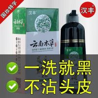 Genuine Yunnan Materia Medica a black hair dye plant a wash black pure natural bubble dye natural Hanfeng hair dye