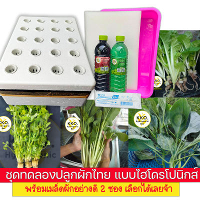 ชุดทดลองปลูกผักไทย ไฮโดรโปนิกส์ และอุปกรณ์ยกชุด