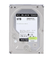 HDD WD 6TB 7200RPM SATA lll WD6004FZWX  (WD6004FZWX-5YEAR)