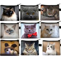 ♝▨ﺴ Cartoon Cute Cat Coin Wallet Bag Clutch Zipper Coin Key Bag Money Pocket Purses Women Men Coin Purse Small Kid Pouch Gift