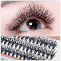 0.05 30D Hot Melt Hair Grafted Eyelashes Fresh Naked Light Soft ขนตาปลอมธรรมชาติ