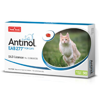 อาหารเสริมสำหรับแมว Antinol® EAB 277™ (90 แคปซูล)