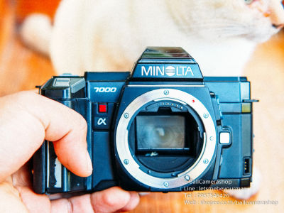 ขาย กล้องฟิล์ม Minolta A7000 Serial 13226842
